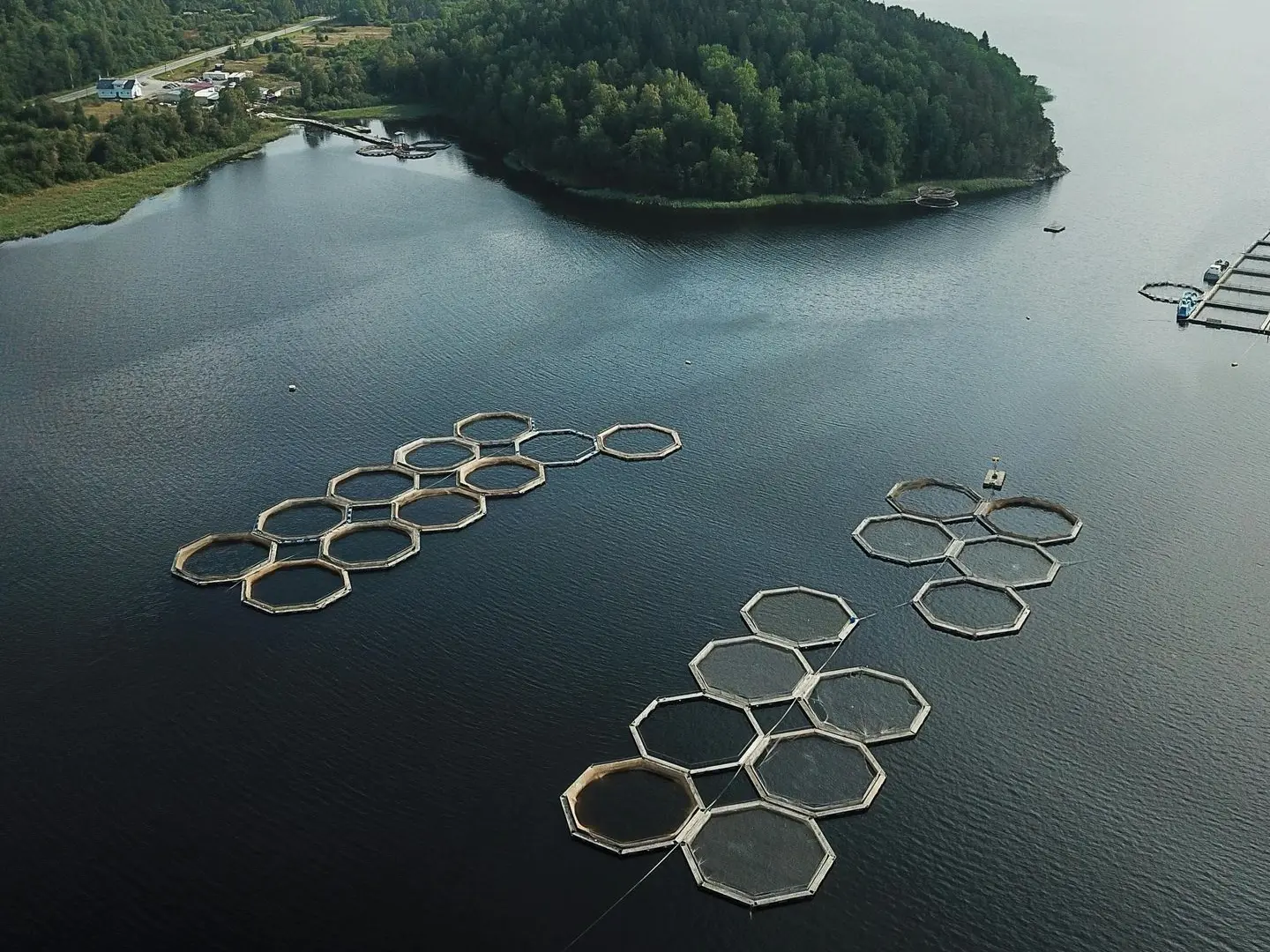 Fisheries andAquaculture adcp application in Fisheries andAquaculture