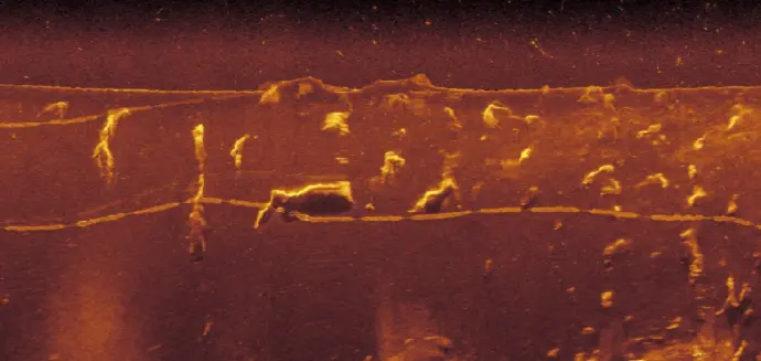 Shrimp traps (450KHz)-TFSS-4510-Triple-Frequency Scanning Sonar